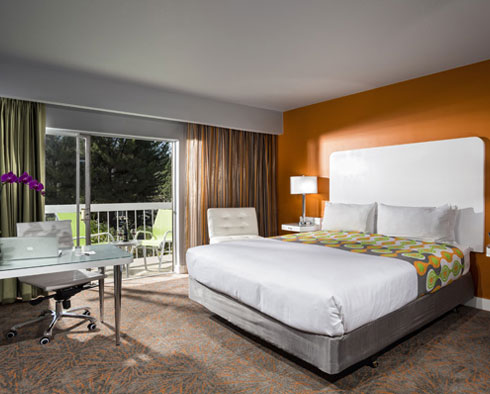 City View Room